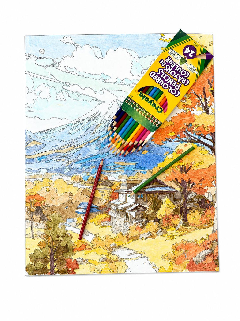 2 pack Crayola Coloured Pencils, 24 Count – Vibrant Pre-Sharpened Pencils for Kids’ Drawing, Colouring, School & Art Projects